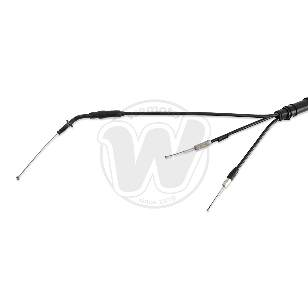 0WJ1677_ab6935 two.jpg